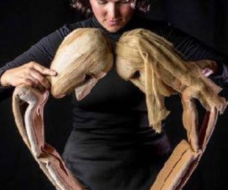 Pasos Largos - Coriolis Teatro