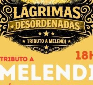 Lágrimas desordenadas tributo a Melendi