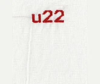 Festa u22 x Oval
