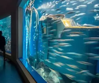 Aquarium Finisterrae