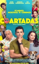 Cartel de la película Coartadas