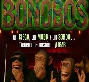 Bonobos