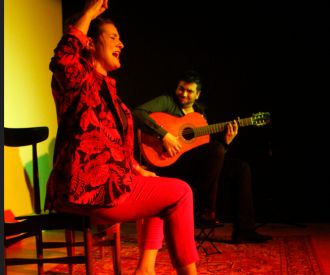 Flamenco de Cerca