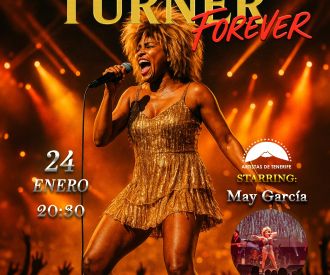 Tina Turner - Tribute Show