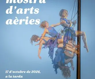 Mostra d'Arts Aèries