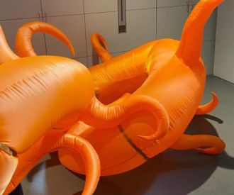 Llei CXF familia TLL Artefacte