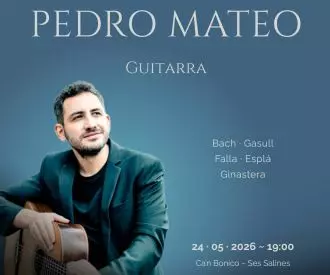 Pedro Mateo Guitarra