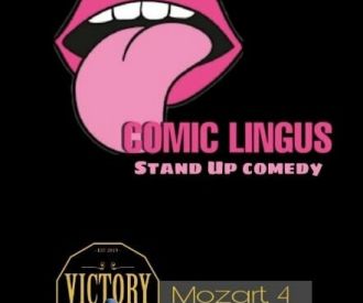 Comic Lingus Stand up Comedy