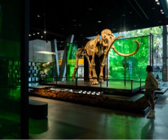 Petites caçadores mamuts