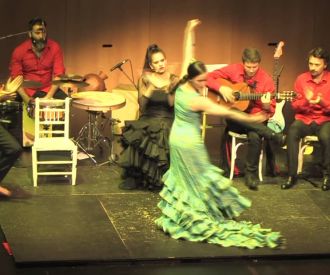 Flamenkat