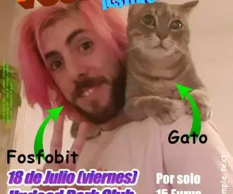 Fosfofiesta - Anime Openings, Mamarracheo & More
