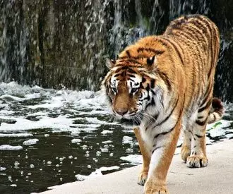 Zoo Aquarium de Madrid