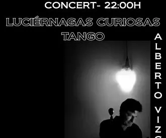 Luciérnagas Curiosas