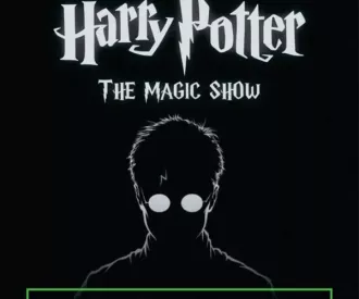 Harry Potter, Tributo Mágico
