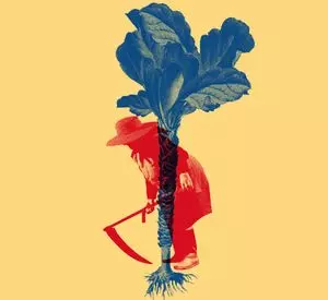 Ni Flores, ni Funeral, ni Cenizas, ni Tantán