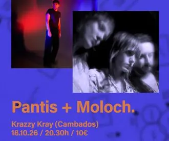 Moloch + Pantis
