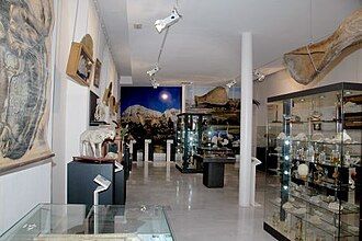 Museo Aguilar y Eslava