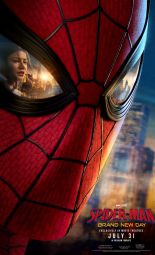 Cartel de la película Spider-Man: Brand New Day