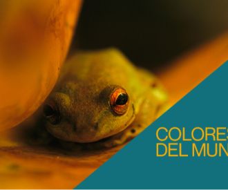 TGN VC Colors del Mon