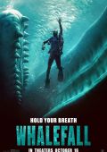 Cartel de la películaWhalefall