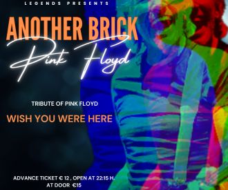 Another brick - Pink Floyd tribute