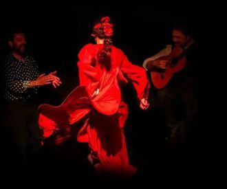 Flamenco la Exclusiva