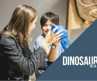 Jurassic Camp