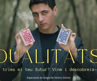 Dualitats