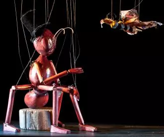 El Circ Dels Insectes - String Theatre