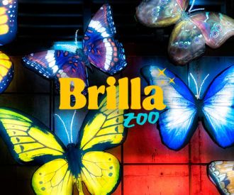 Brilla Zoo Festival