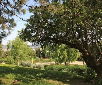 Jardins de Joan Brossa