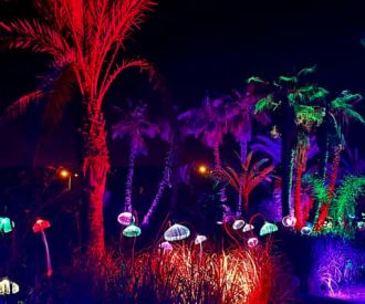 Astro Magic Lights