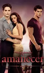 Cartel de la película La Saga Crepúsculo: Amanecer - Parte I