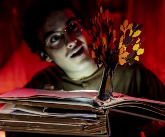 El Licenciado Vidriera - Corral de Comedias de Alcalá de Henares