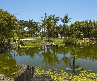 Palmetum de Santa Cruz de Tenerife