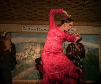 Espectáculo de Flamenco Albayzin