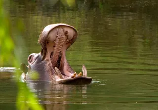 pantano cabárceno pantano cabárceno