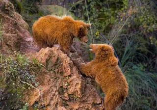 Montaña Cabárceno Montaña Cabárceno