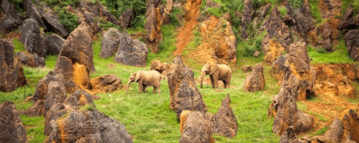 Cabárceno Animales-elefantes Cabárceno Animales-elefantes