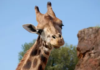 África Cabárceno África Cabárceno