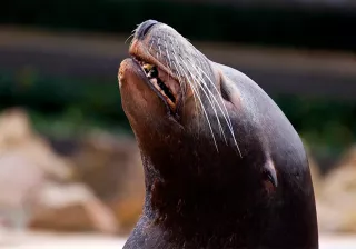 Mar Zona Acuática cabárceno Mar Zona Acuática cabárceno