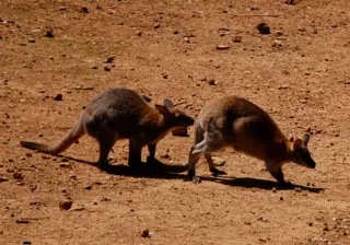 Oceanía Cabárceno Oceanía Cabárceno
