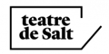 TeatreDeSaltKoobinWeb-logo